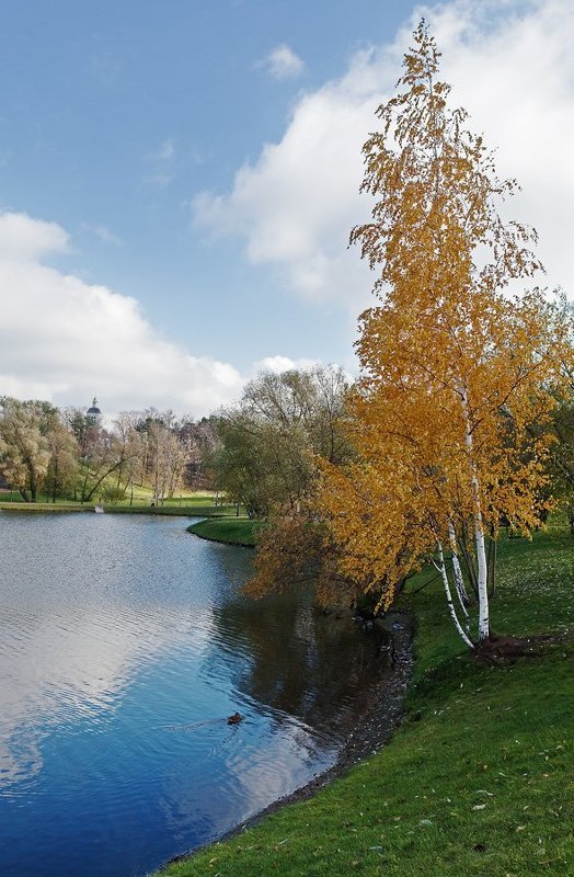 Осенняя палитра фото превью
