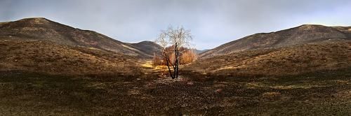 Выжившие после пожара