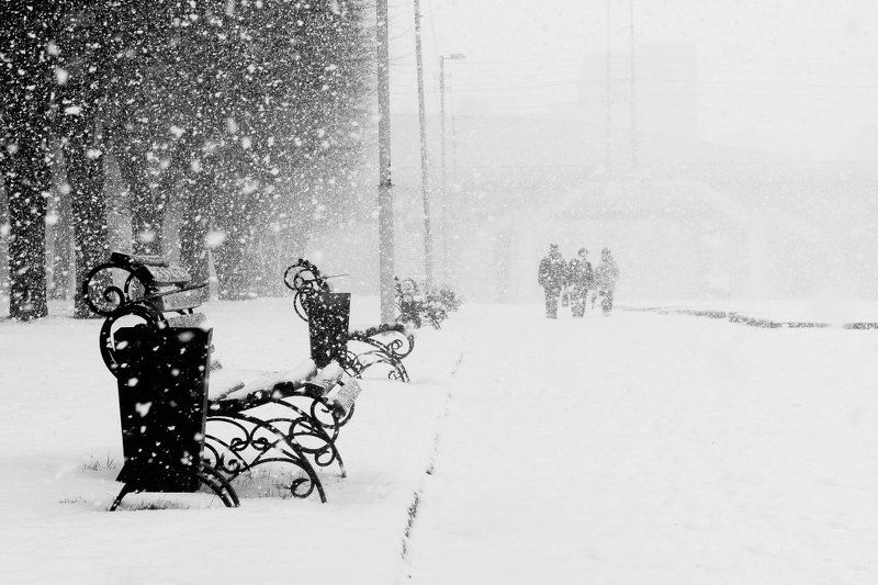 снег, зима А снег не знал и падал... фото превью