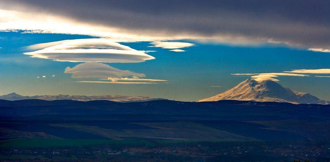 , Елена Брежицкая