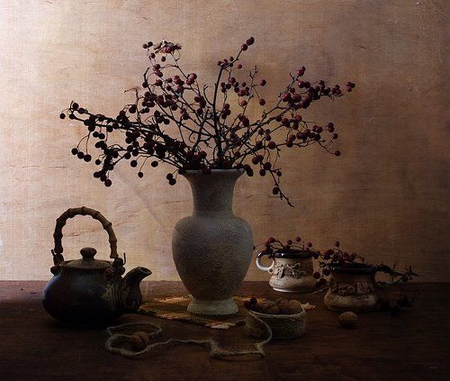 Боярышник в контровом свете