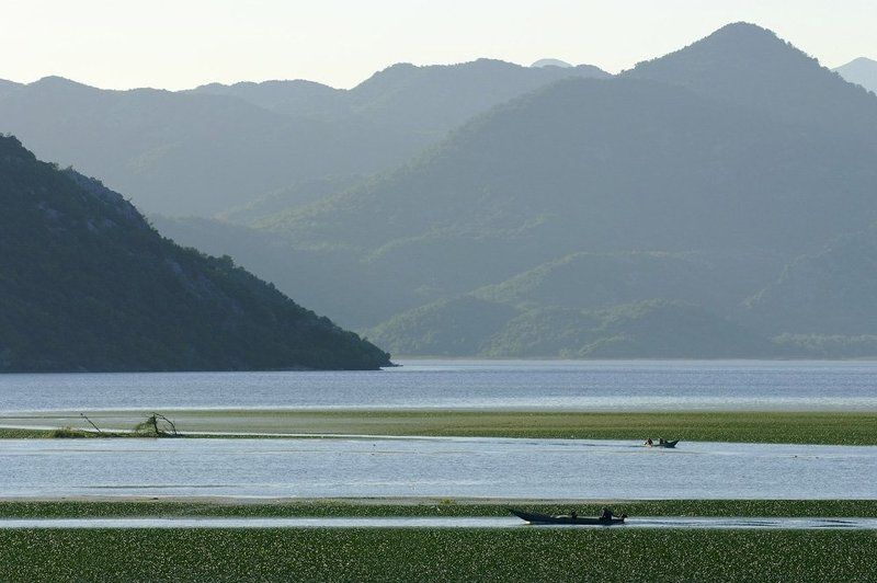 Скадарское озеро фото превью