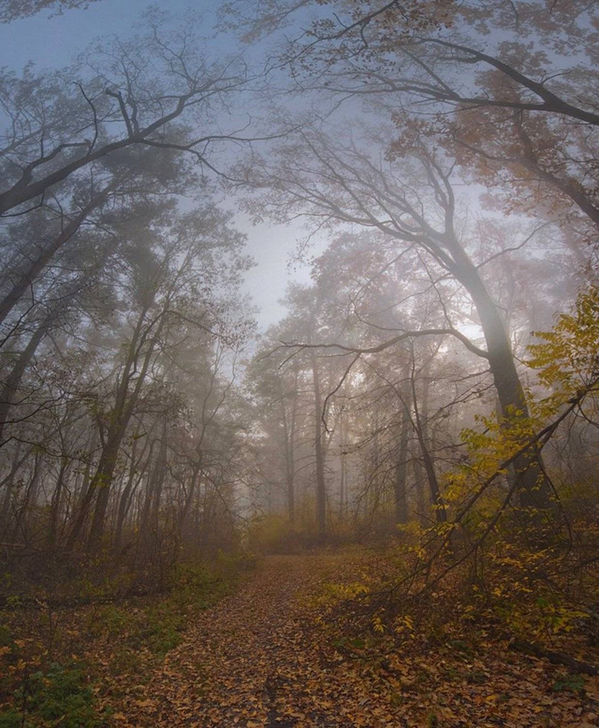 , Артём Маковский