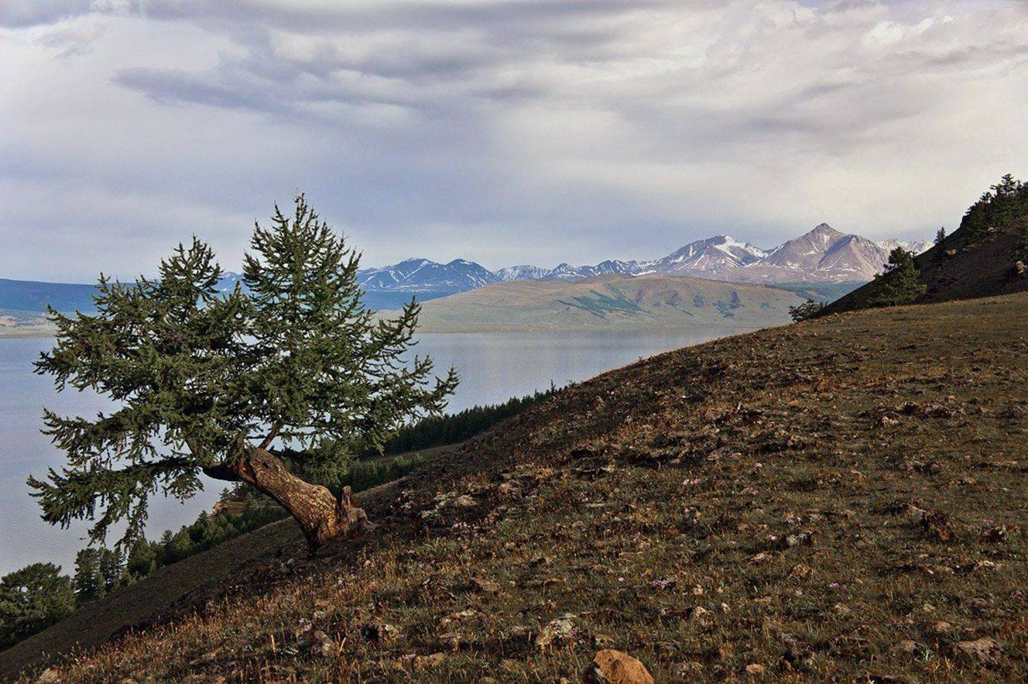 , Игорь Матвеев