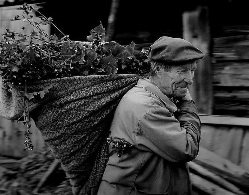 Буренкина радость фото превью