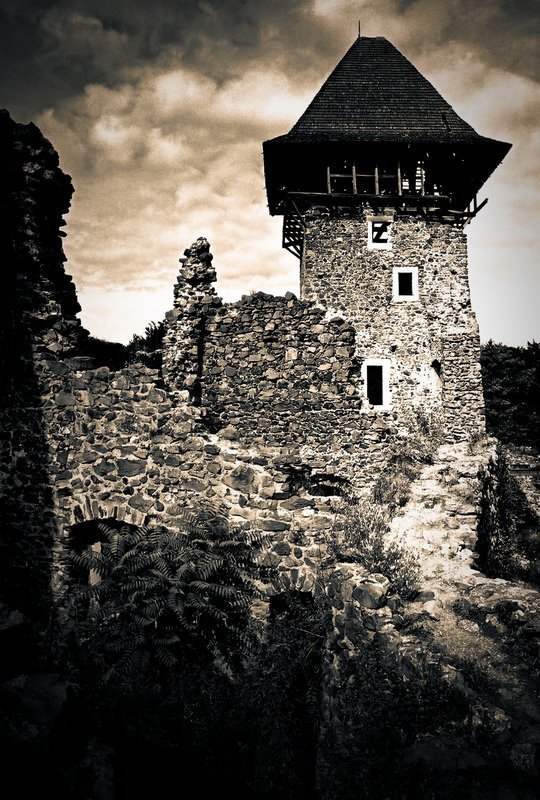 *** фото превью