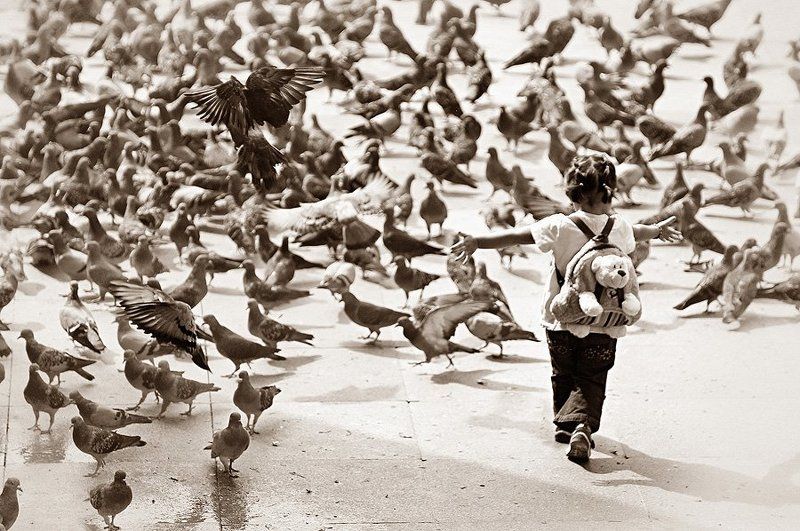 Девочка и голуби фото превью