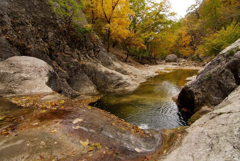 --- фото превью