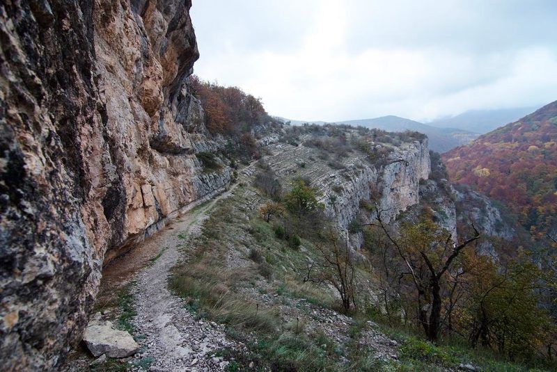 \\\\\\ фото превью