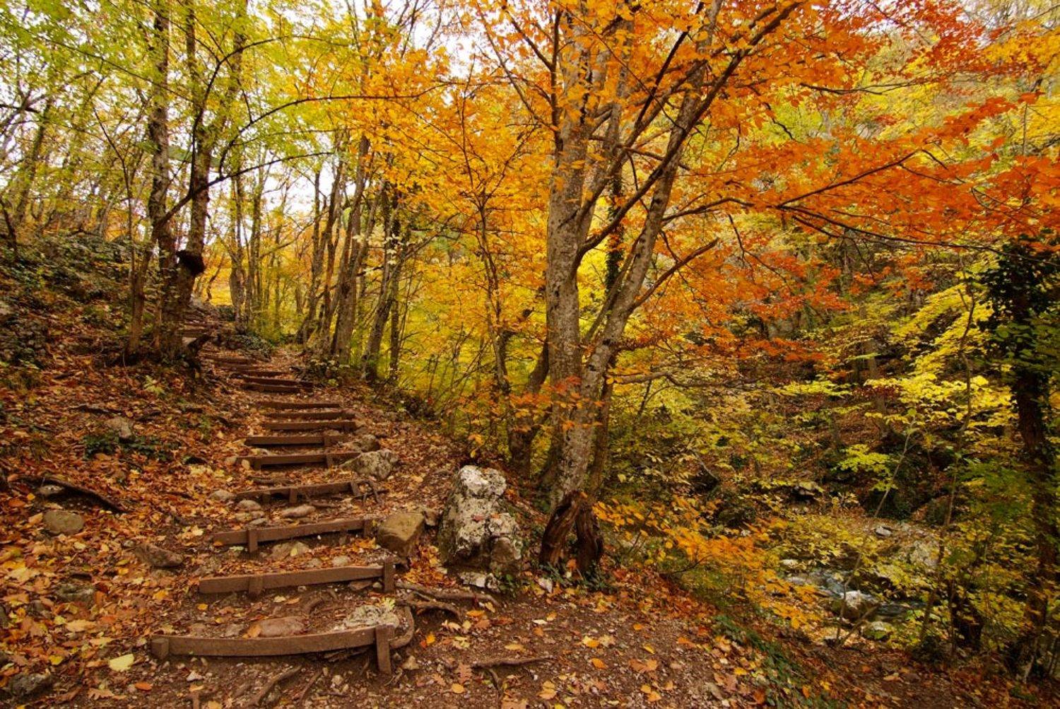 , Павел Лёушкин