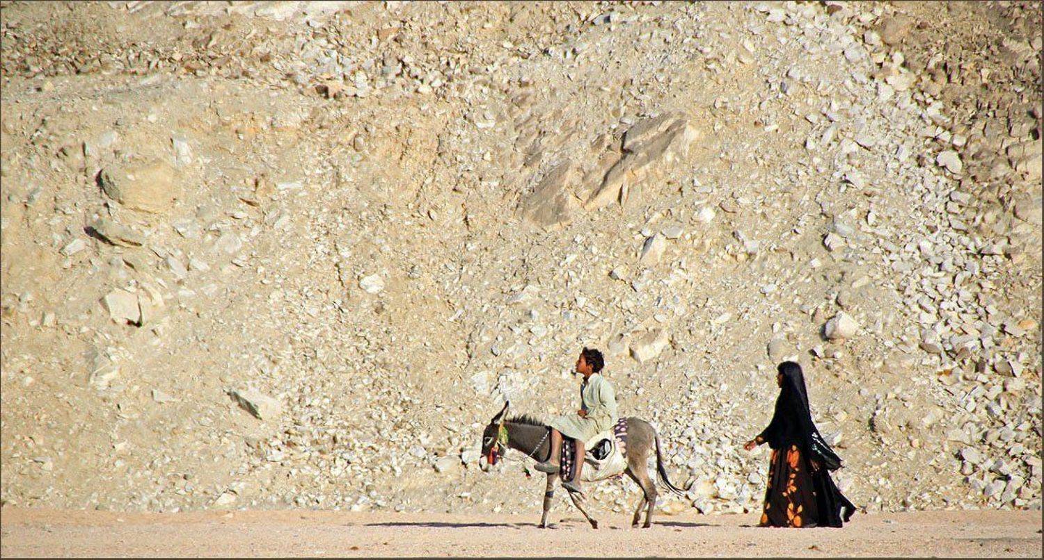 в, город, дети, ослик, египет, пустыня, Воронцова Наталья