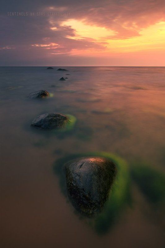 Sentinels фото превью