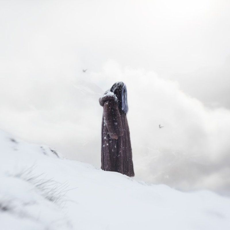 Stagnation фото превью