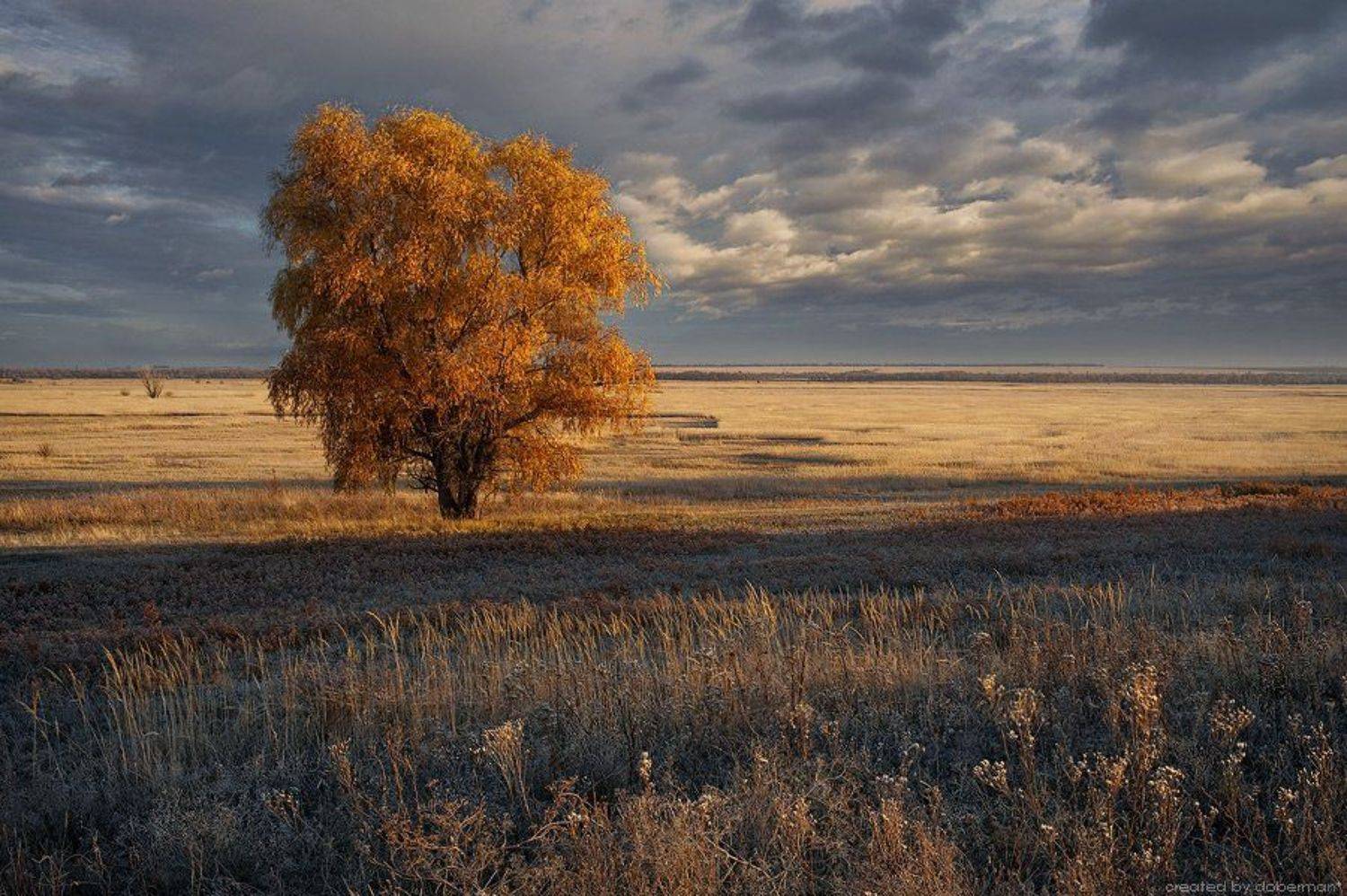 , Денис Богомолов