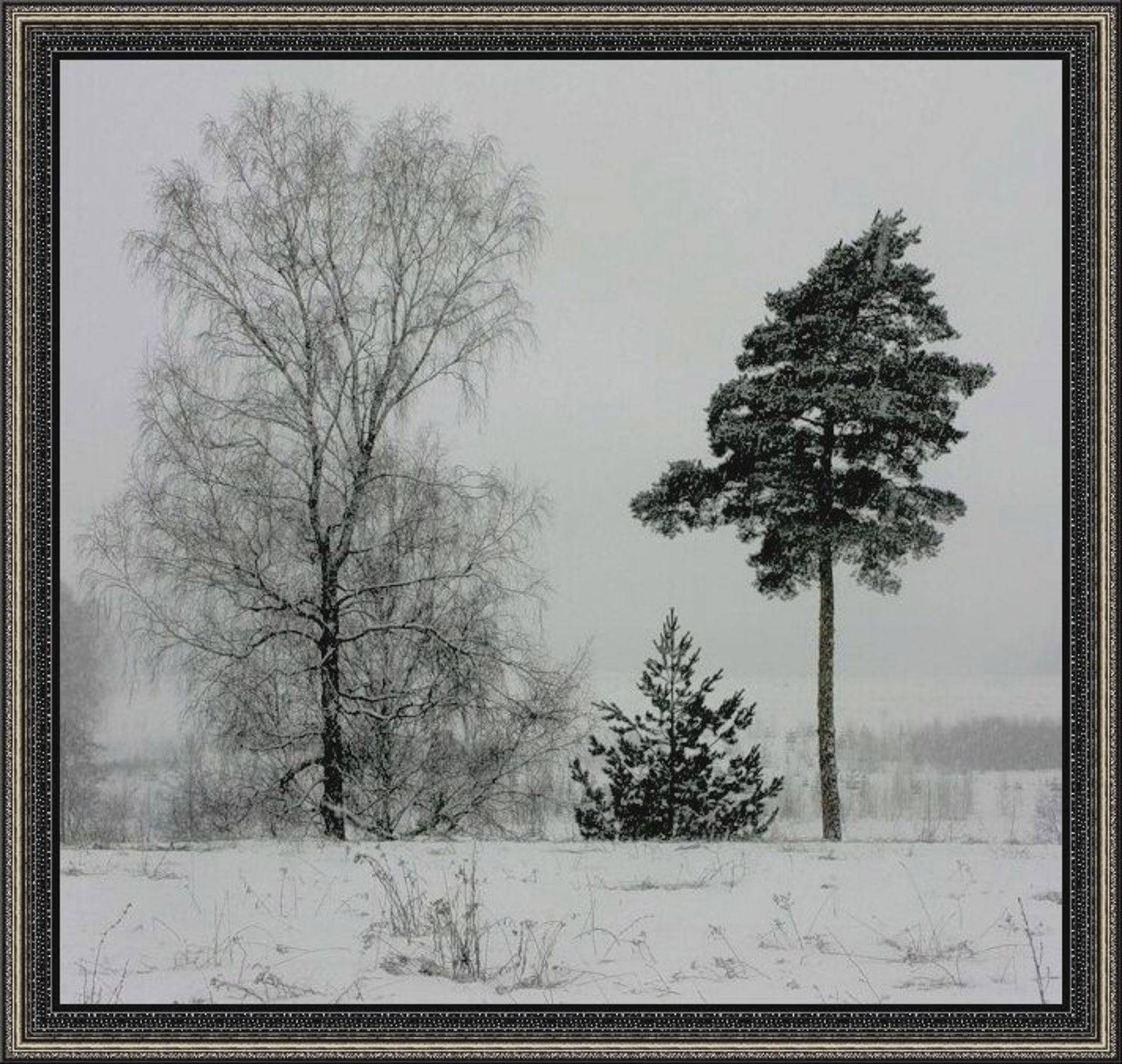 , Василий Черкасский