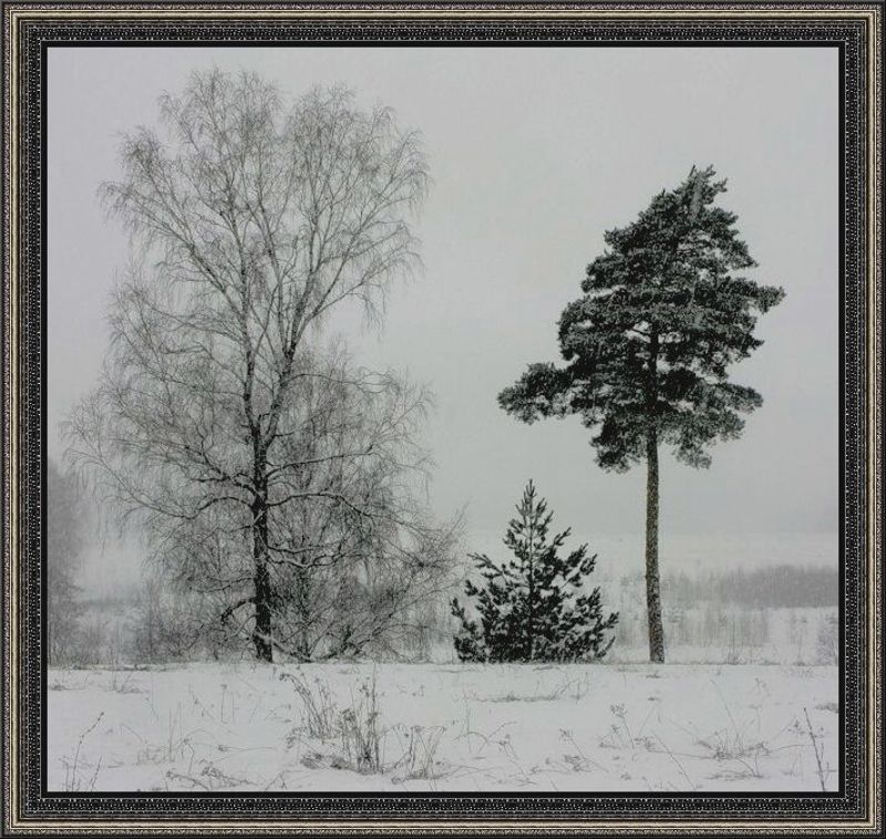 Первый ... фото превью