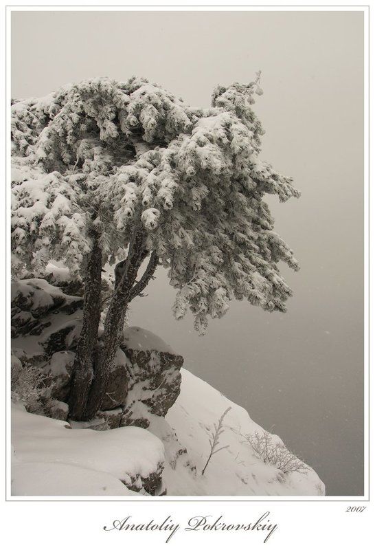 Над пропастью в снегу фото превью