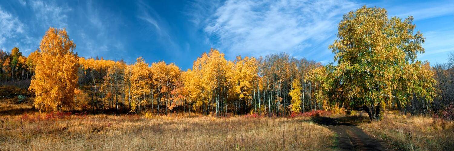 панорама, Качурин Алексей