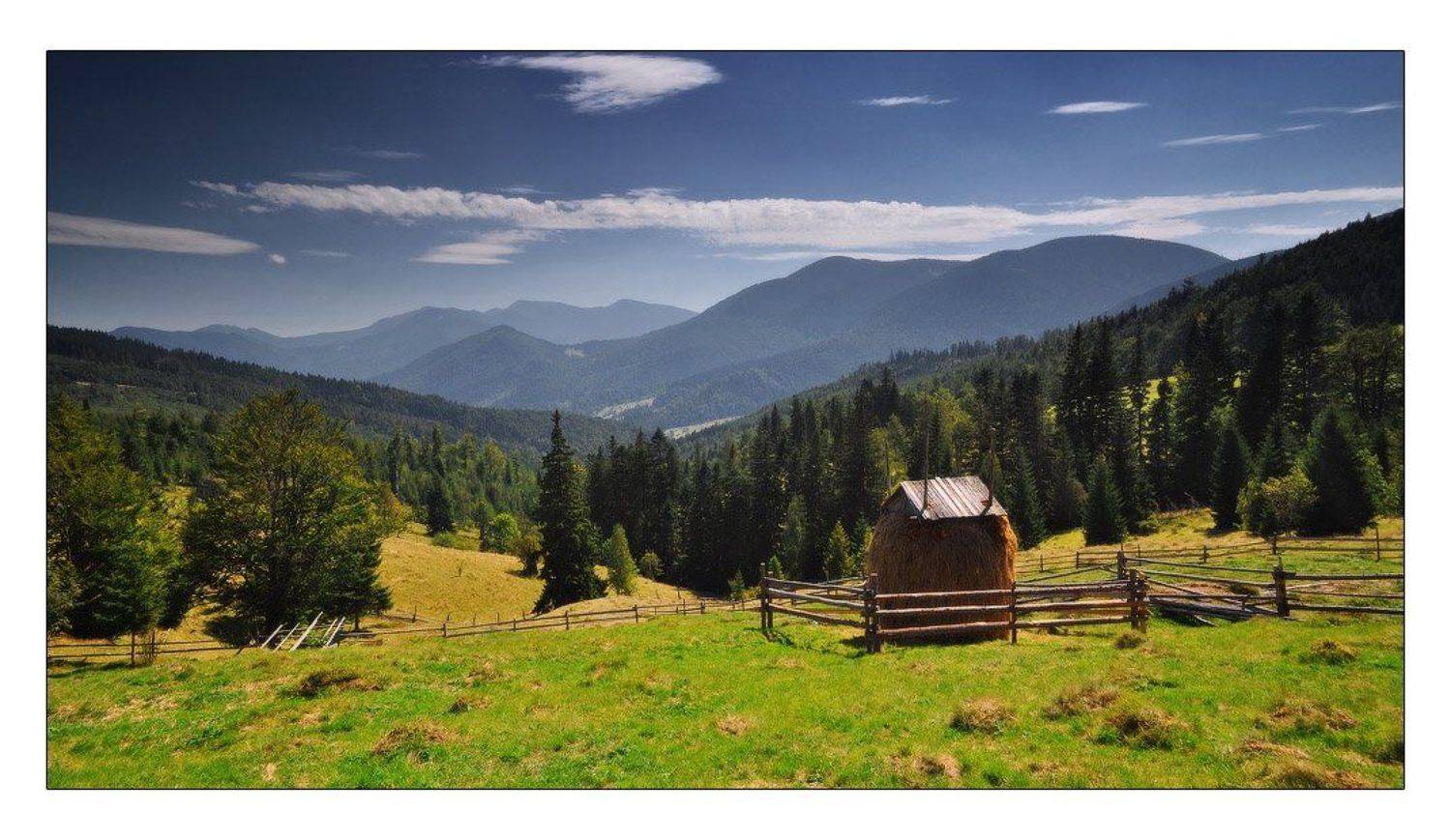 , Денис Кривой