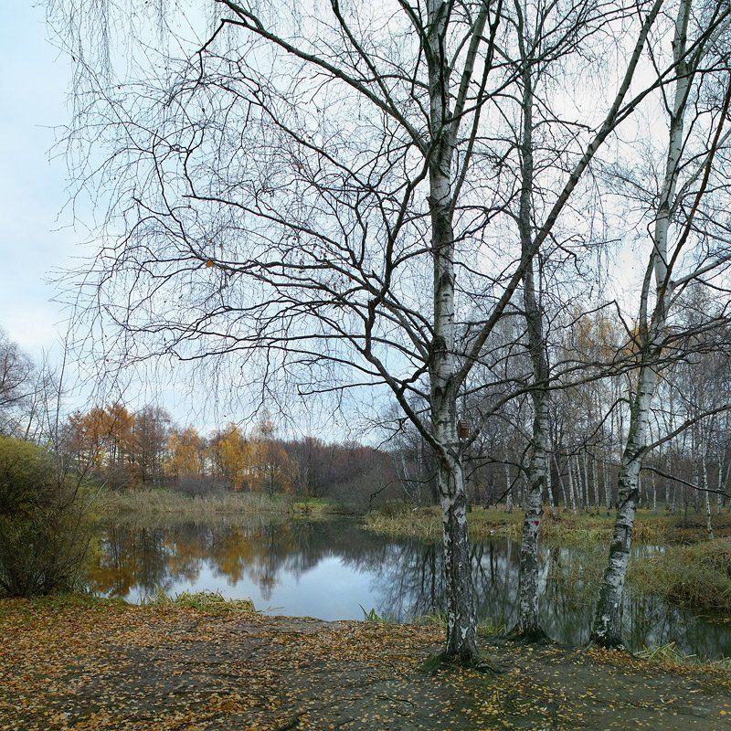 последний цвет... фото превью