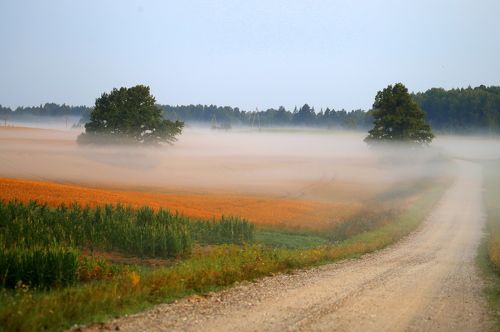 дорога в осень