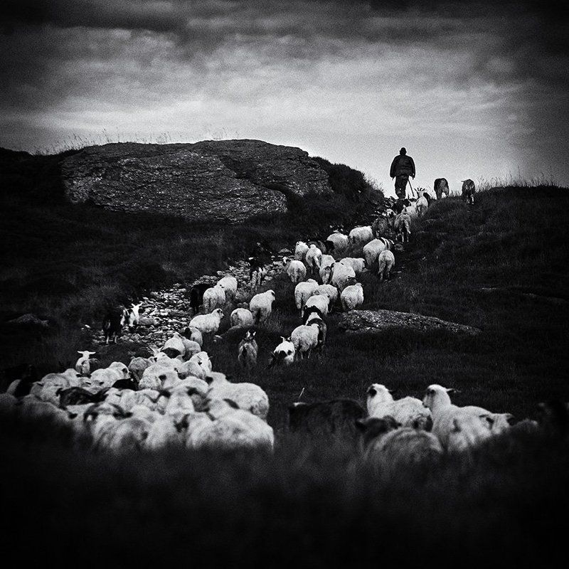 ... фото превью