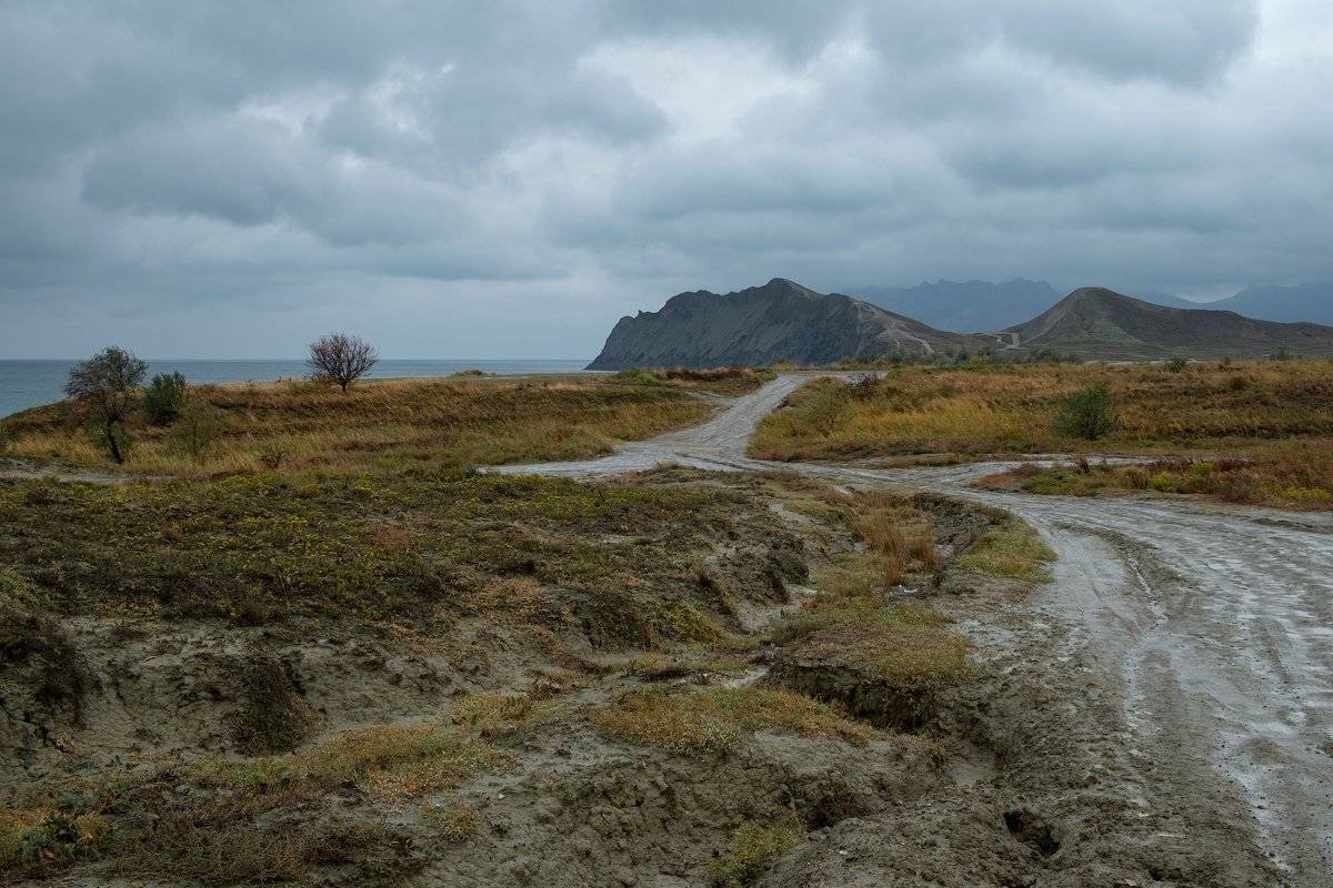 , Олег Логунов