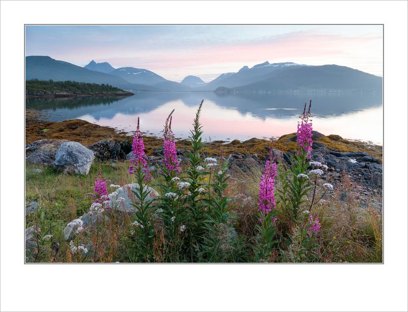 Вечерняя идиллия фото превью