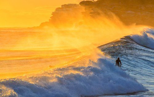 Золотой сёрф