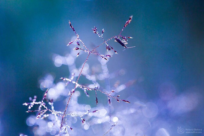 Мир синего хрусталя фото превью