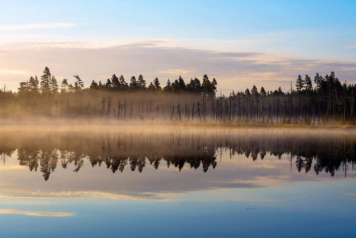 карелия, Виктор
