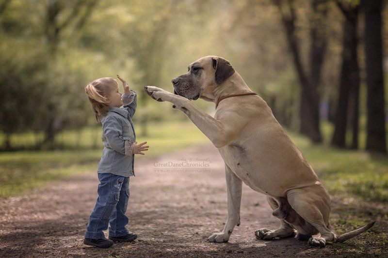 Hi Sean! High five!