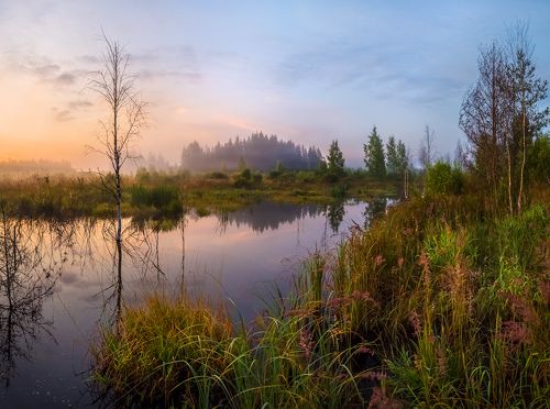 Лесной замок