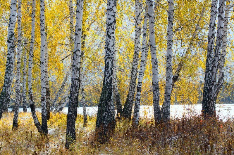 Прогулка в осень фото превью