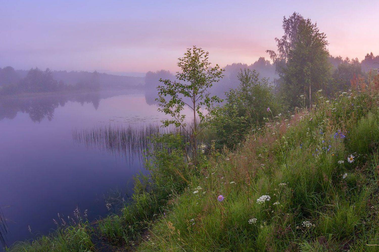 туман река вечер, Марина Мурашова