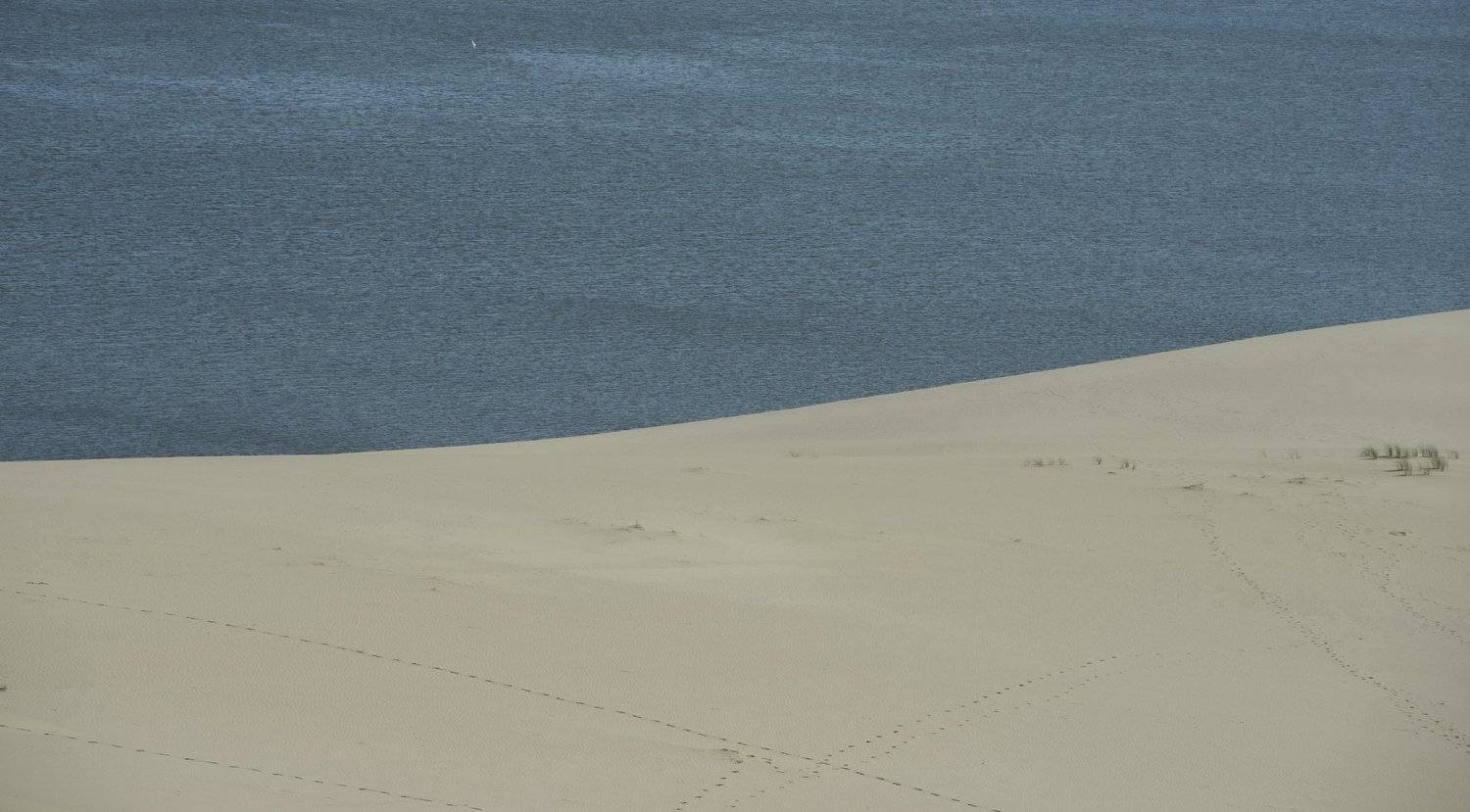 куршская коса, Ирина