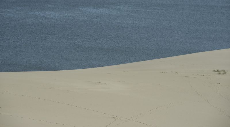 куршская коса \