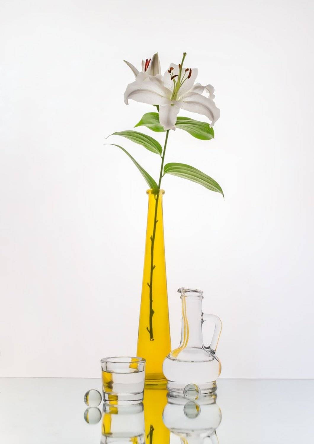 , Людмила Прокофьева