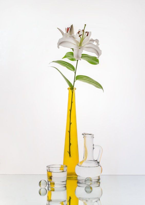 Лилия фото превью