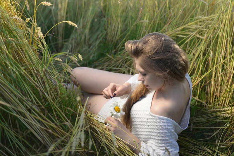 Любовь, ромашка, гадание Любит - Не любит фото превью