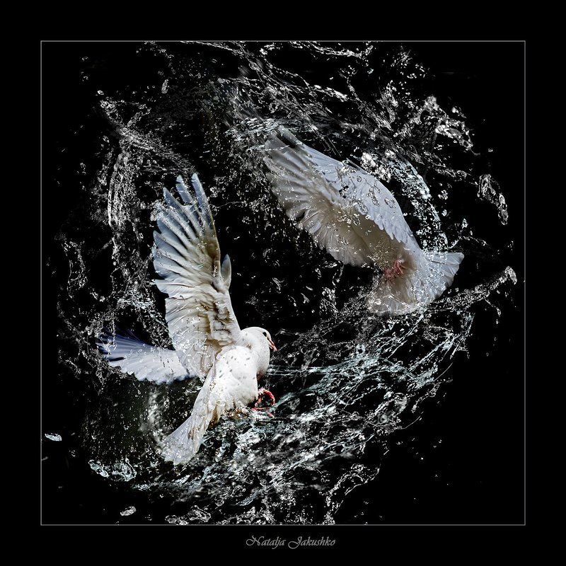 В вихре танца. фото превью