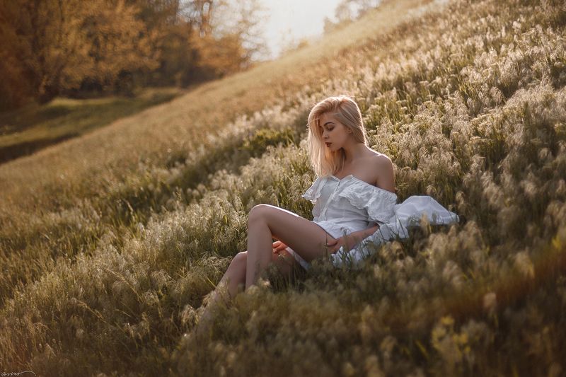 summer, sunset, sun, girl, field, nature, grass Одним летним днём... фото превью