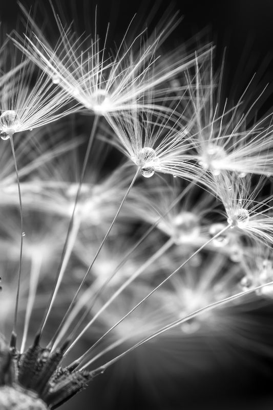 Лёгкость... фото превью