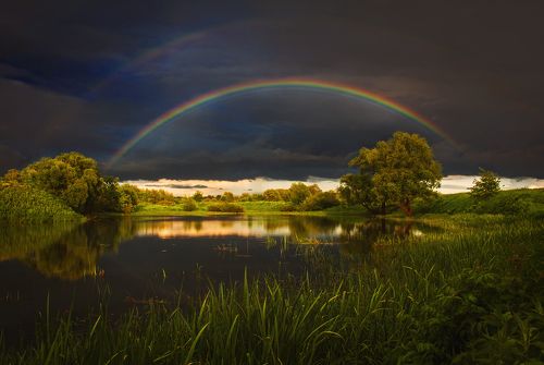 В гостях у сказки