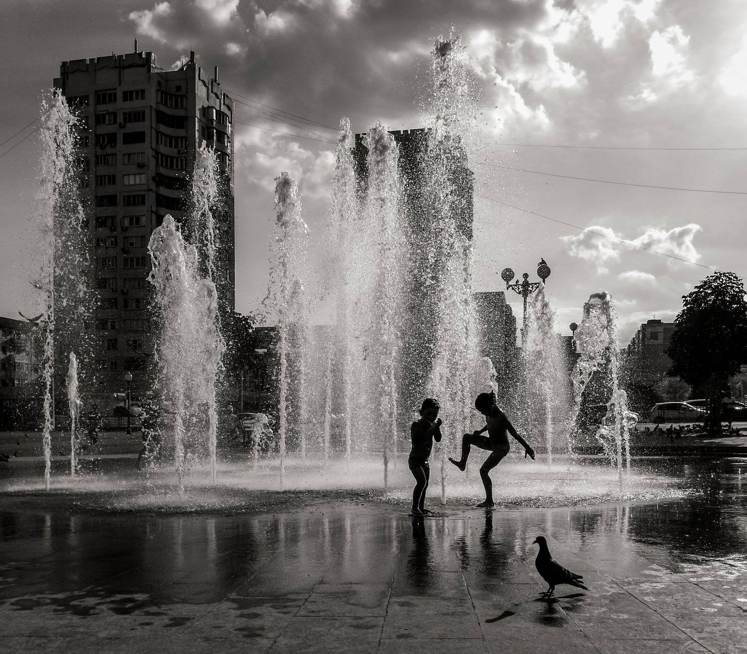 , Дмитрий Несветайлов