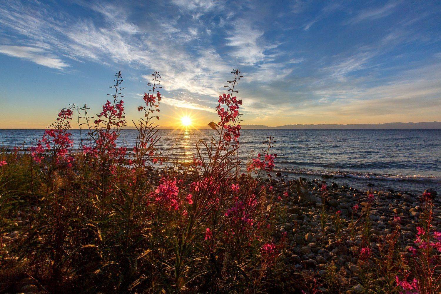 , Минаков Владимир