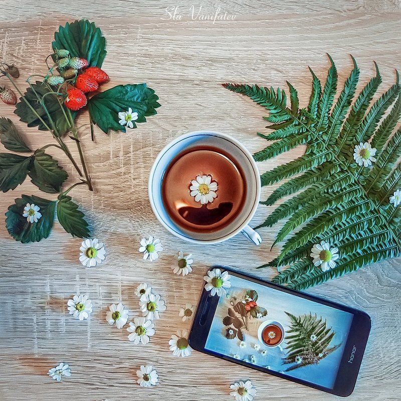 Натюр... фото превью