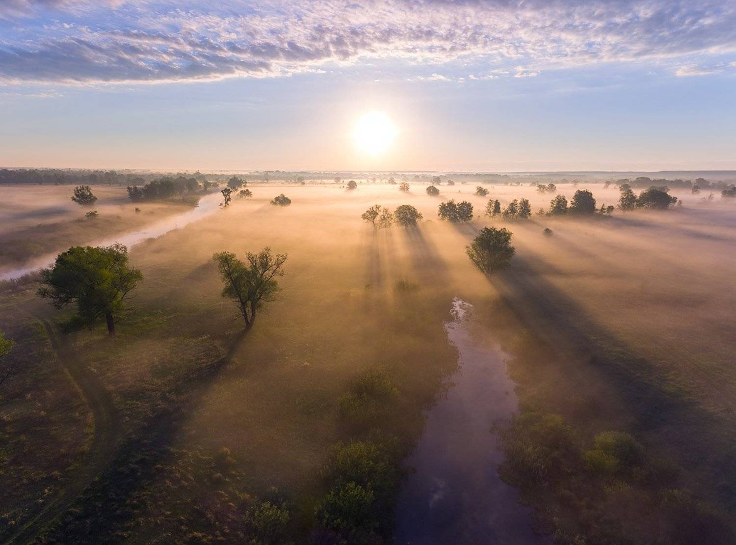 деревья, туман, рассвет, озеро, тень, солнце, Дмитрий