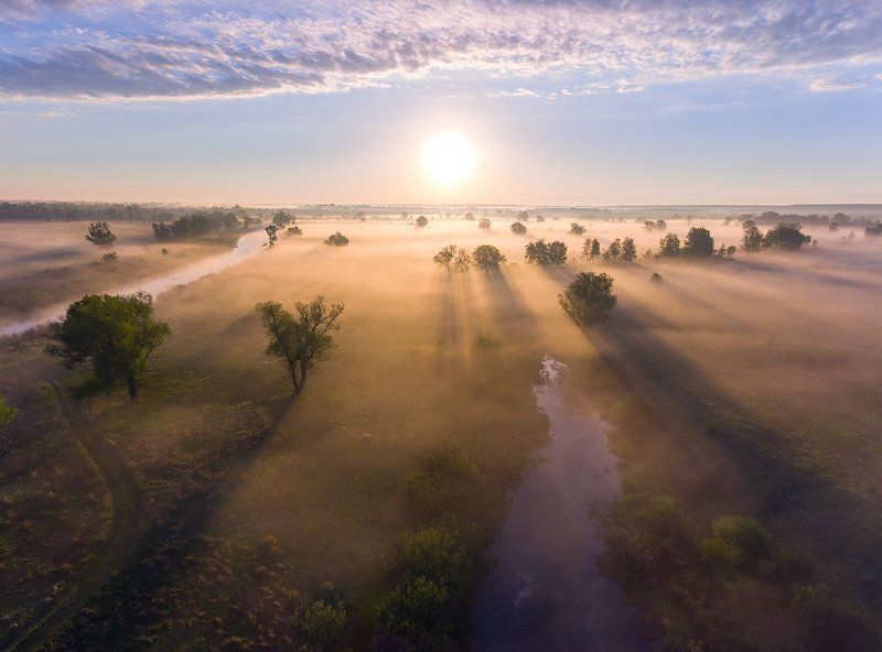 деревья, туман, рассвет, озеро, тень, солнце *** фото превью
