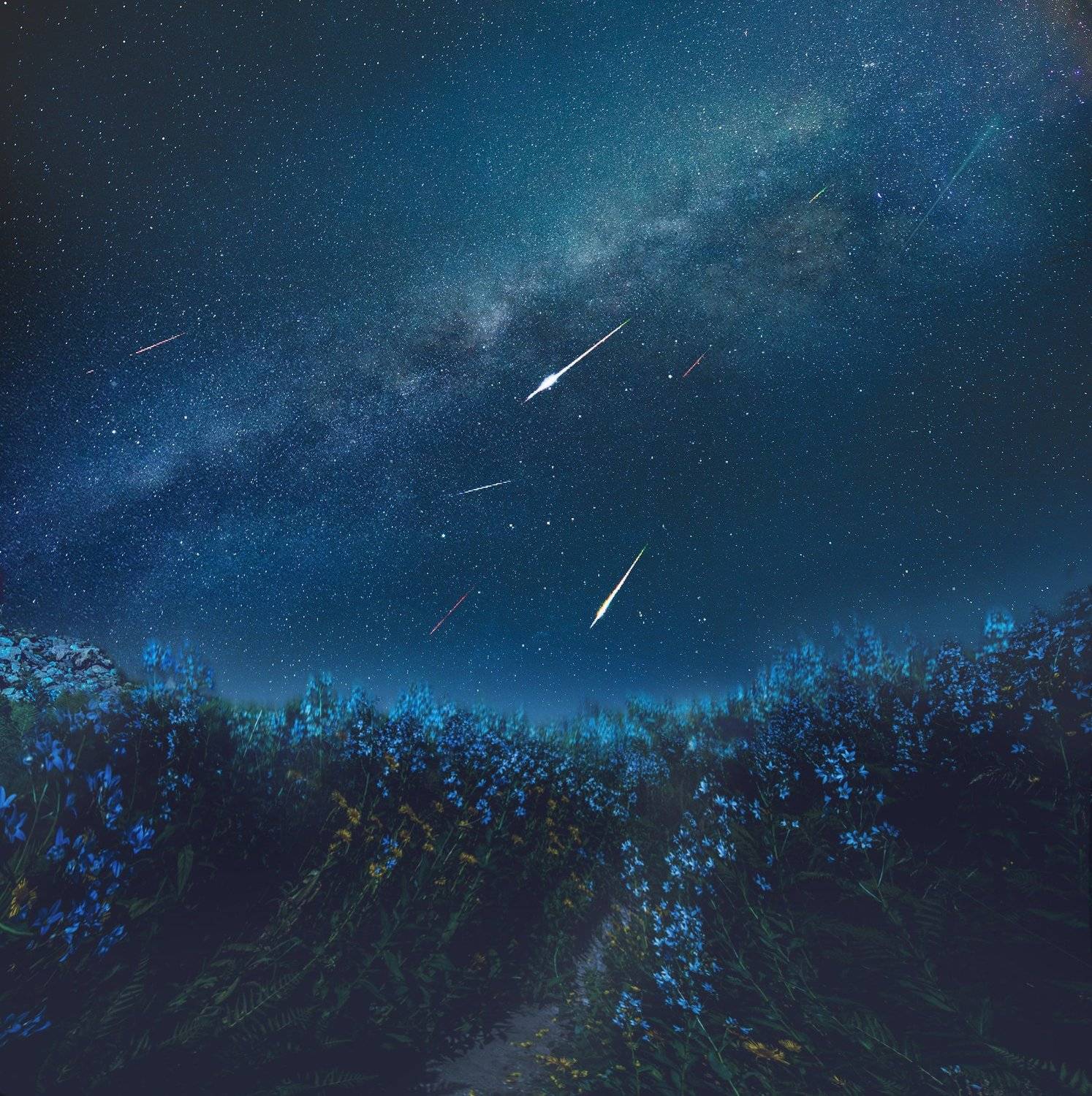 Звездопад, ночной пейзаж, астрофотография, Оксана Сироткина